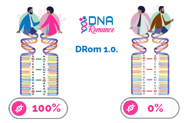 DRom1.0 Predicts Chemistry