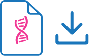 Salva il file DNA.